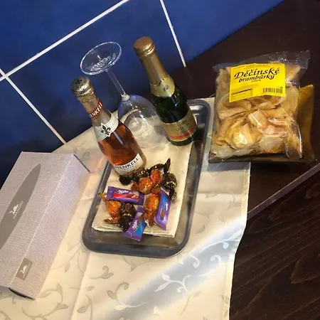 Проживание в семье V Soukromi Rodinne V Decine Дечин